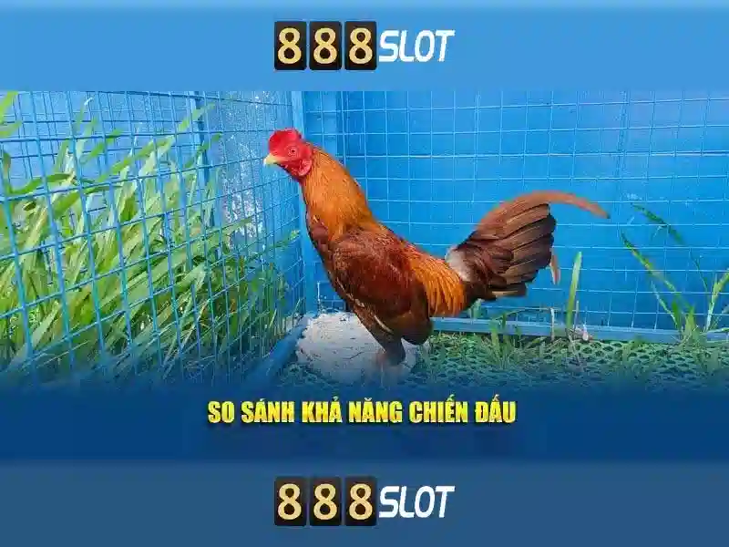888slot - Nền tảng trò chơi xèng trực tuyến hàng đầu