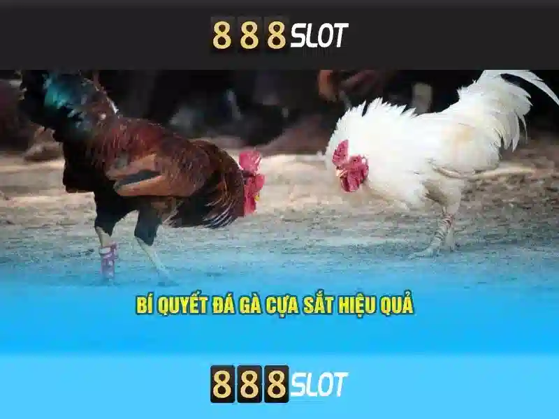 Lợi thế khi chơi tại 888slot