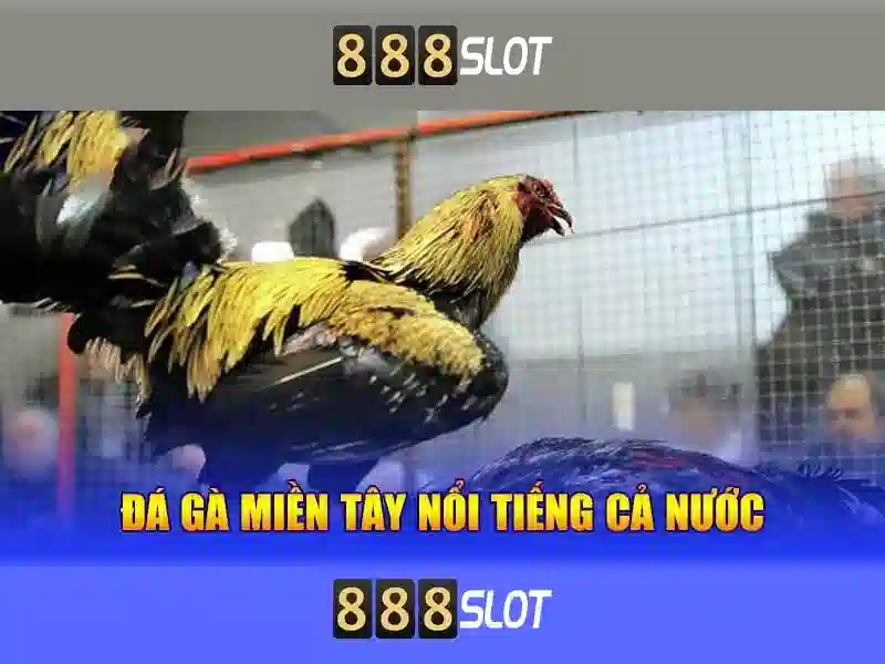 Giới thiệu về 888slot