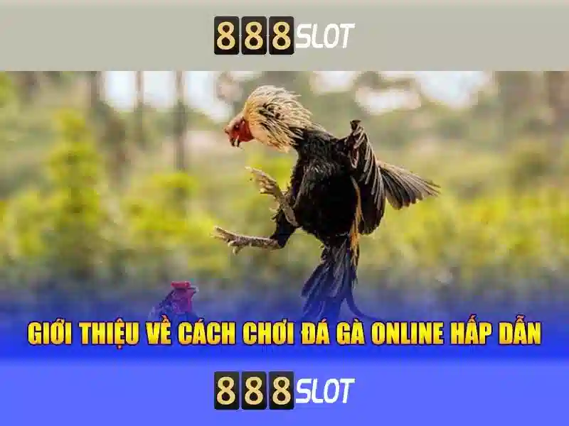 Danh mục trò chơi và trải nghiệm người dùng