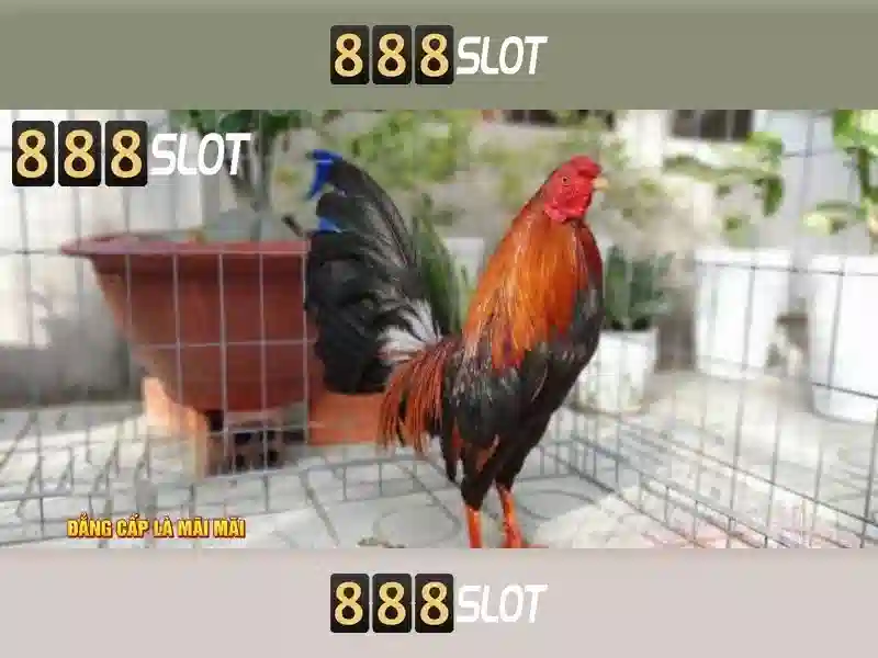 888slot — Nền tảng đánh bạc trực tuyến hàng đầu