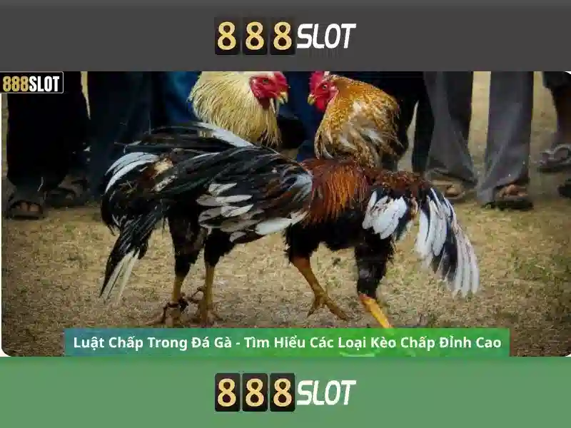 Giới thiệu về 888slot