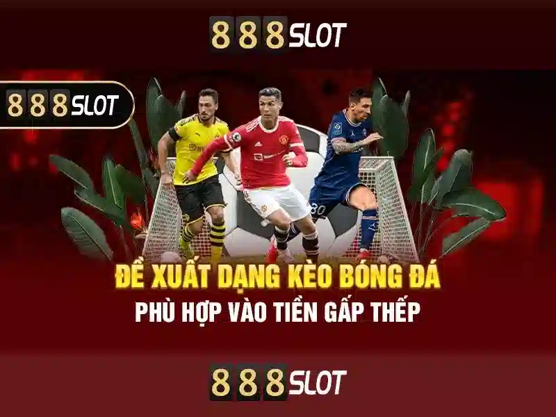 Khuyến mãi và chương trình thành viên