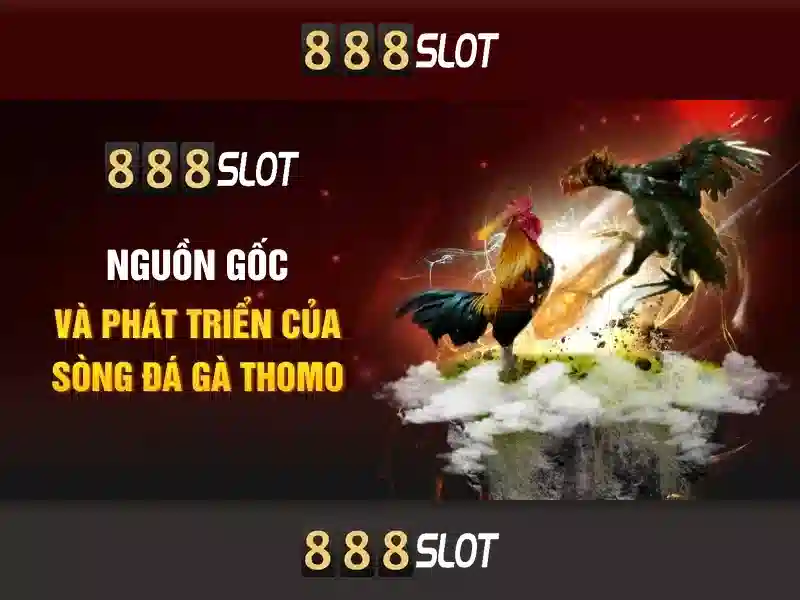 Hỗ trợ khách hàng