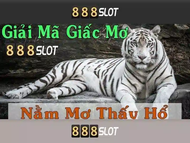 Giới thiệu về 888slot