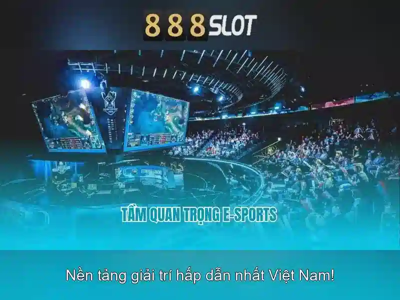 Khuyến mãi và dịch vụ khách hàng