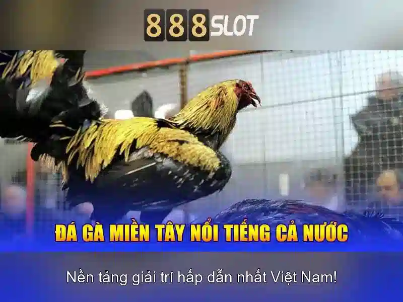 888slot - Nền tảng casino trực tuyến uy tín