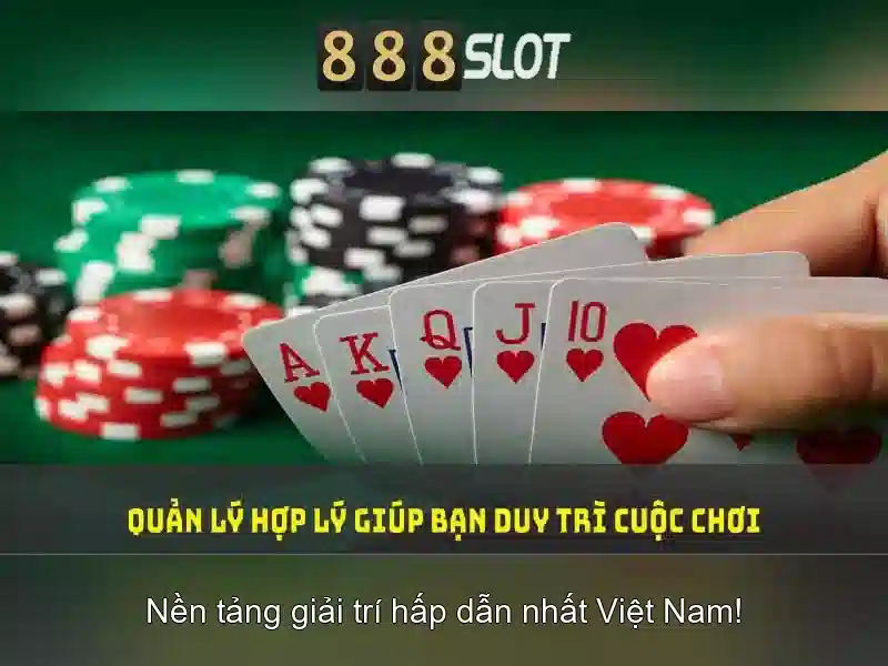 Giao diện và tra cứu tài khoản