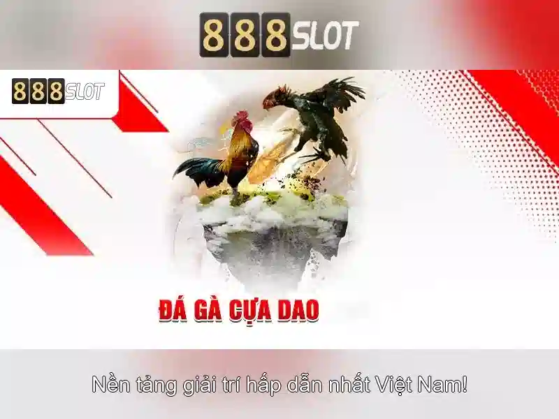 Giao diện người dùng và trải nghiệm