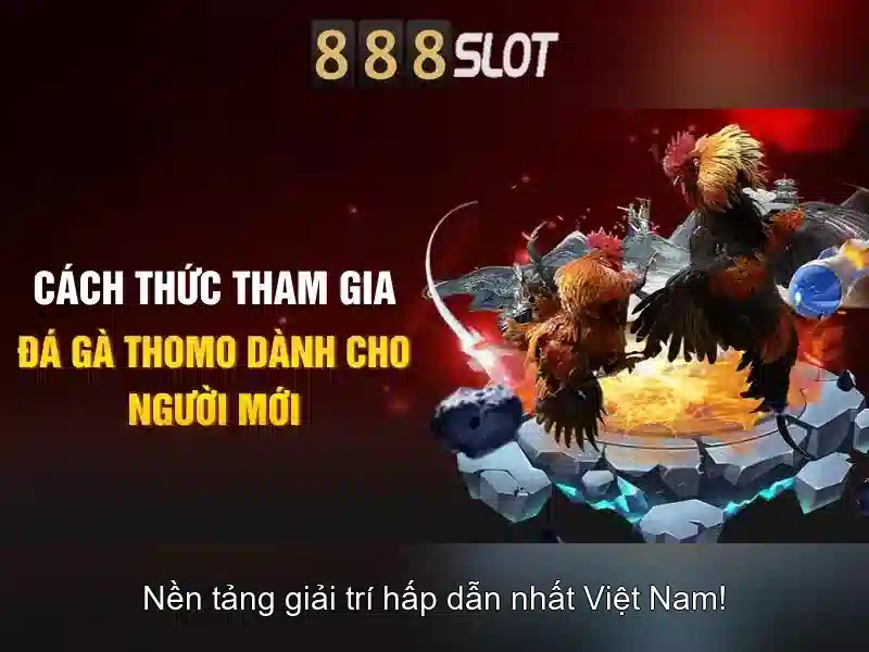 Hướng dẫn đăng ký và hỗ trợ khách hàng
