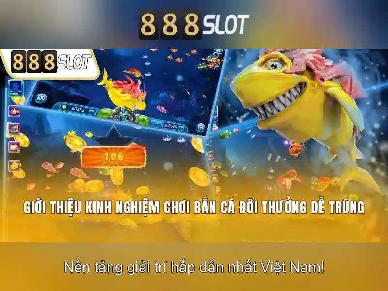 Trải nghiệm người dùng