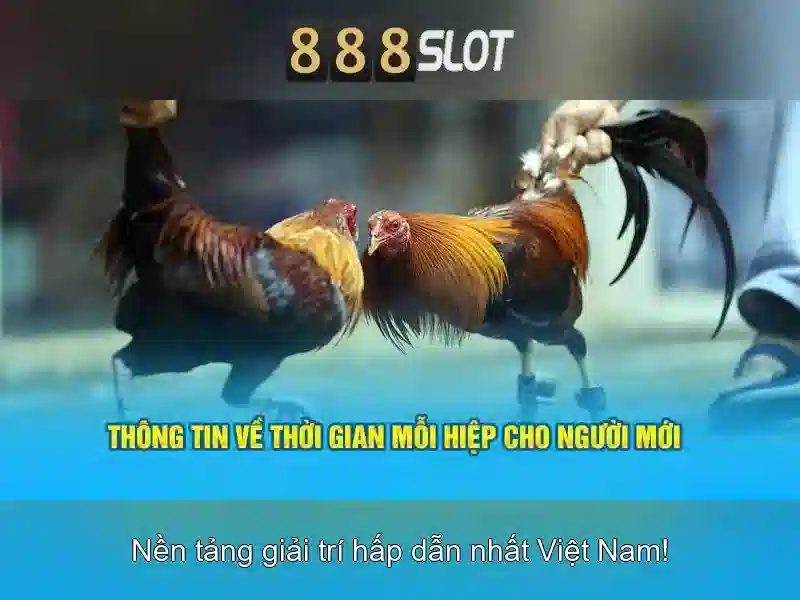 888Slot - Nền tảng casino trực tuyến nổi bật